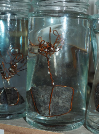 P1010051 (Small).JPG